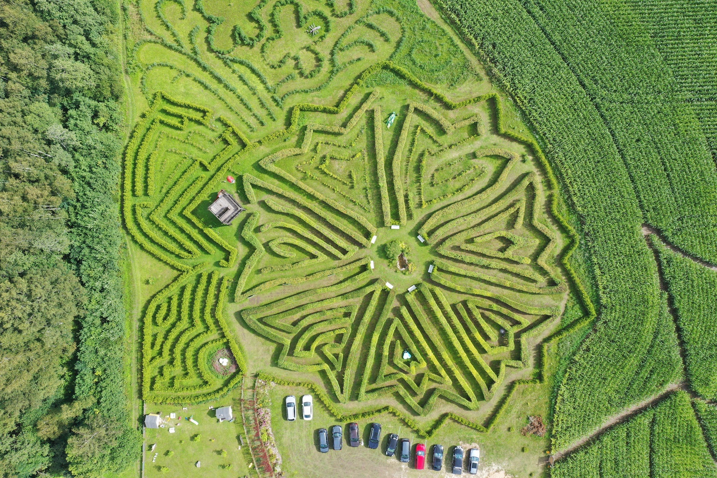 Tore talu - Sarapiku